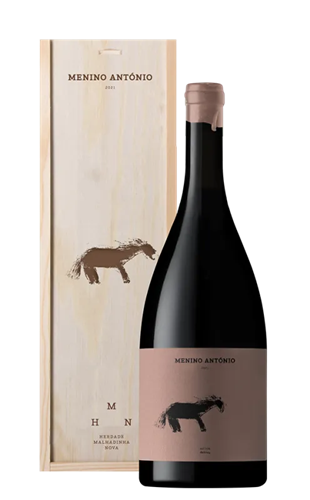 Menino Antonio tinto 2021 magnum