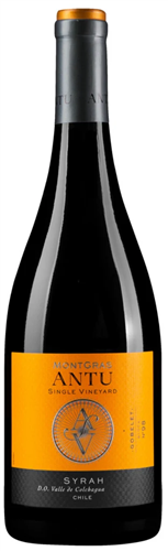 Montgras Antu syrah 2021